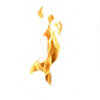 Bild des Benutzers Sol